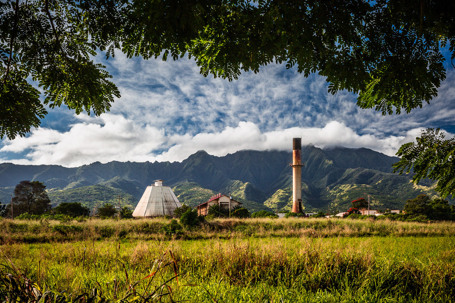 "The Mill" - Waialua, Oahu