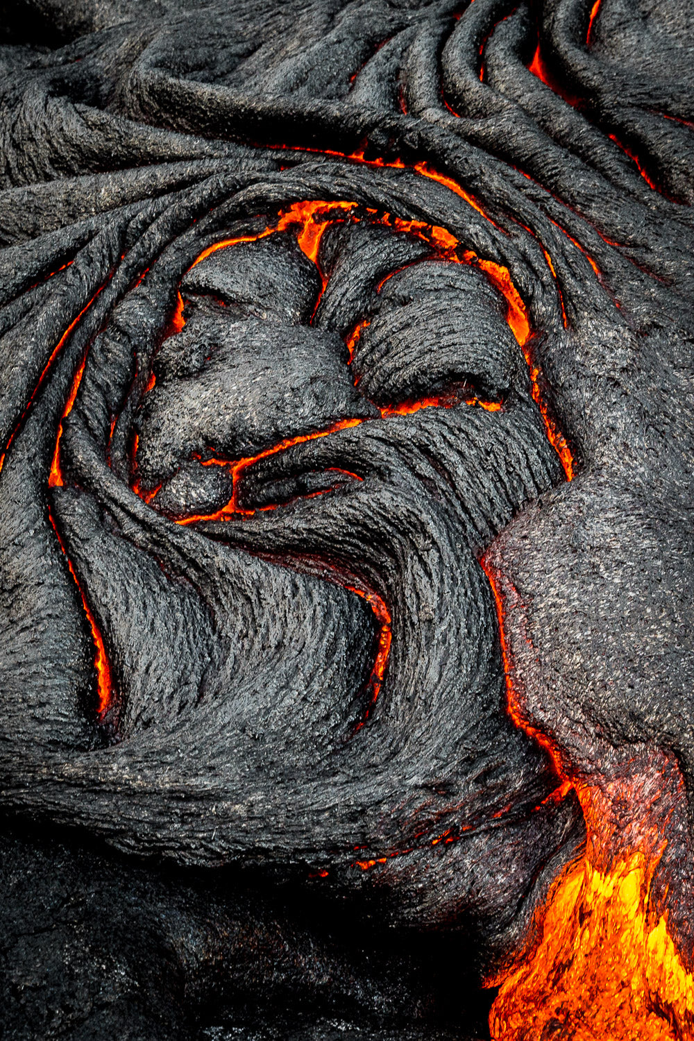 "The Ostrich" - Kamokuna, Hawaii