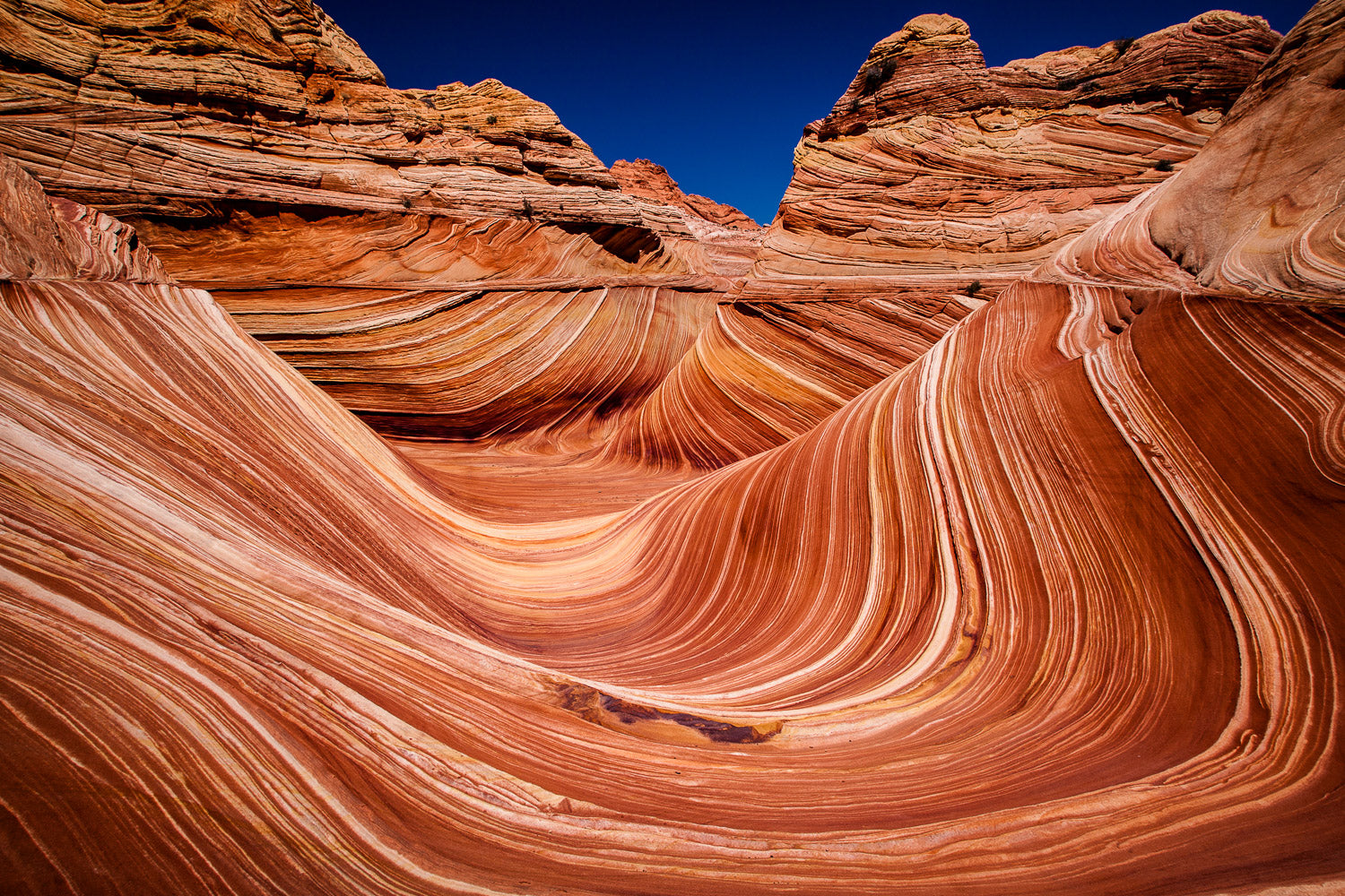 "The Wave XIV" - Kanab, Utah