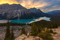 "The Wolf - Peyto Lake, Alberta, Canada