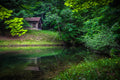"The Woods" - Zanesfield, Ohio
