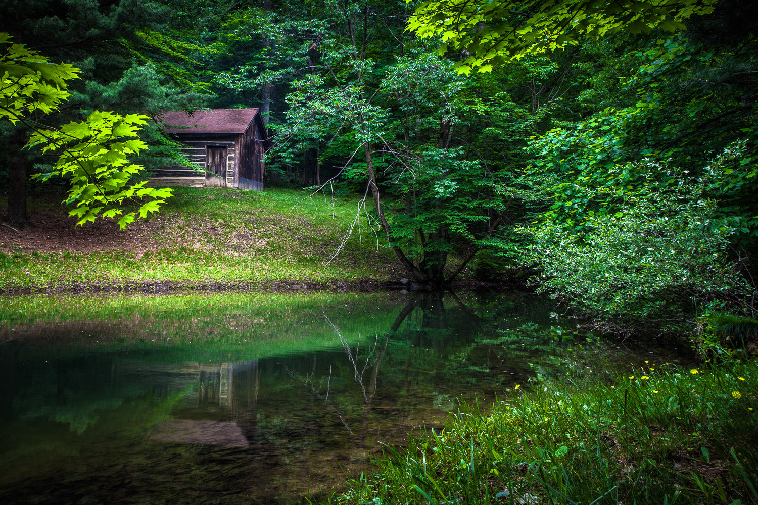 "The Woods" - Zanesfield, Ohio