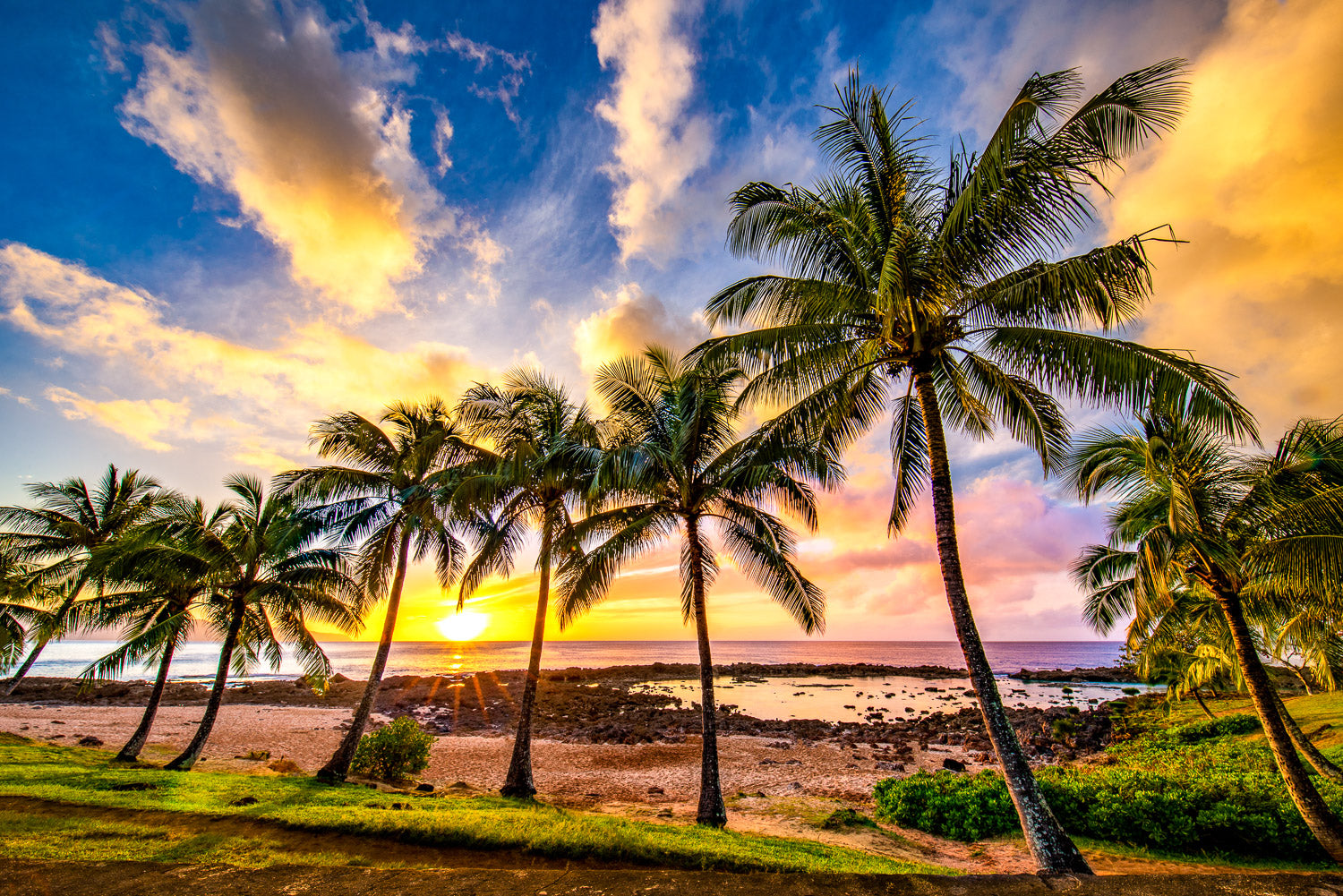 "Treasure Cove" - Shark's Cove, Oahu