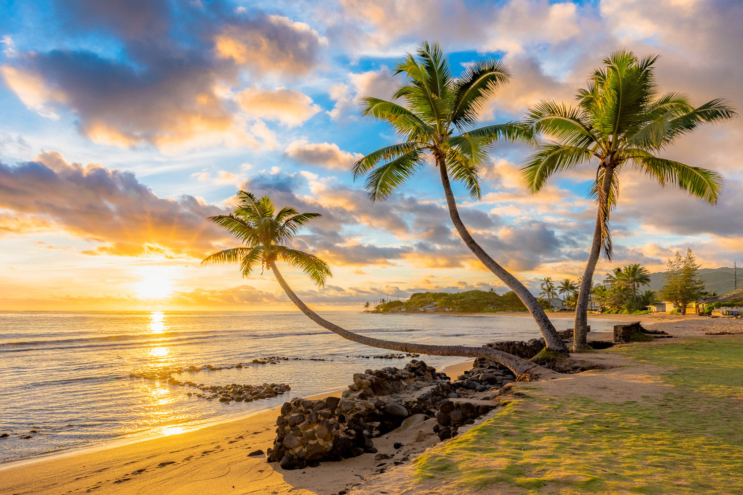 "Trinity" - Hauula, Oahu