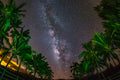"Tropical Milky Way" - North Shore, Oahu