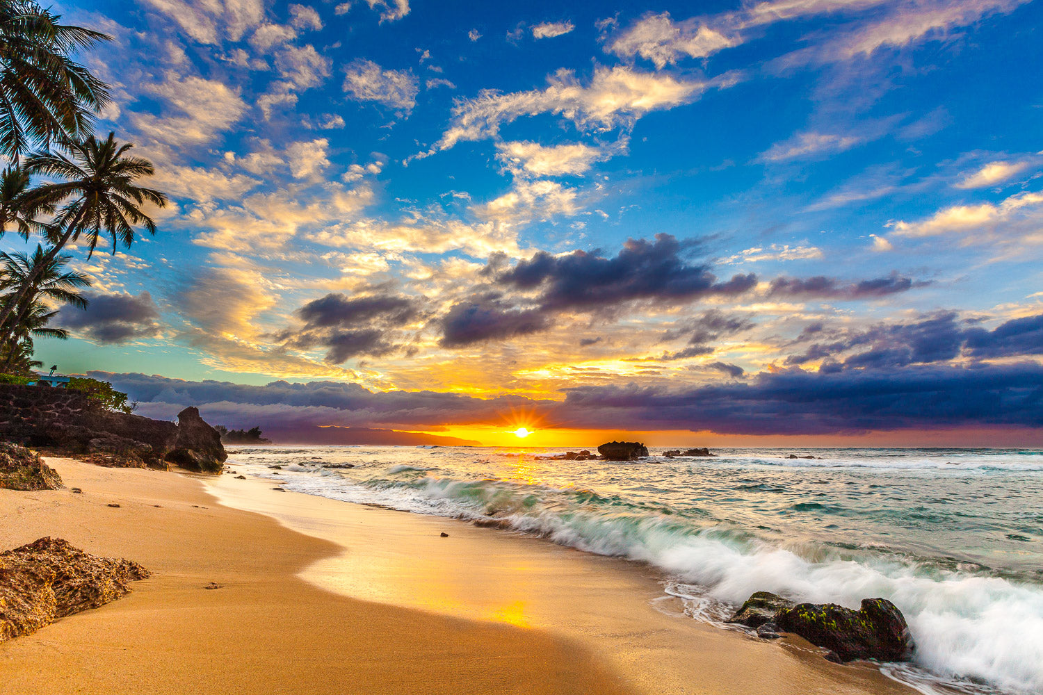 "Tropical Serenade" - Haleiwa, Oahu