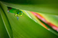 "Under the Boardwalk" - Turtle Bay, Oahu