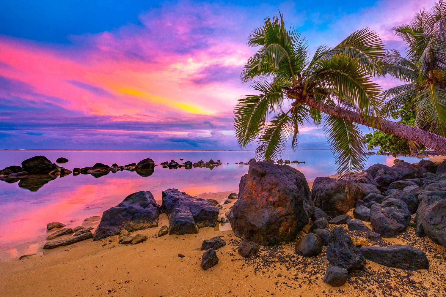 "Unexpected" - North Shore, Kauai