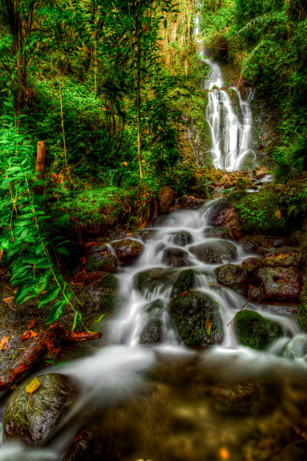 "Waihe'e Falls" - Kaneohe, Oahu