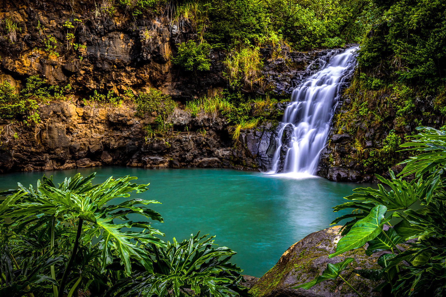 "Waimea Falls"