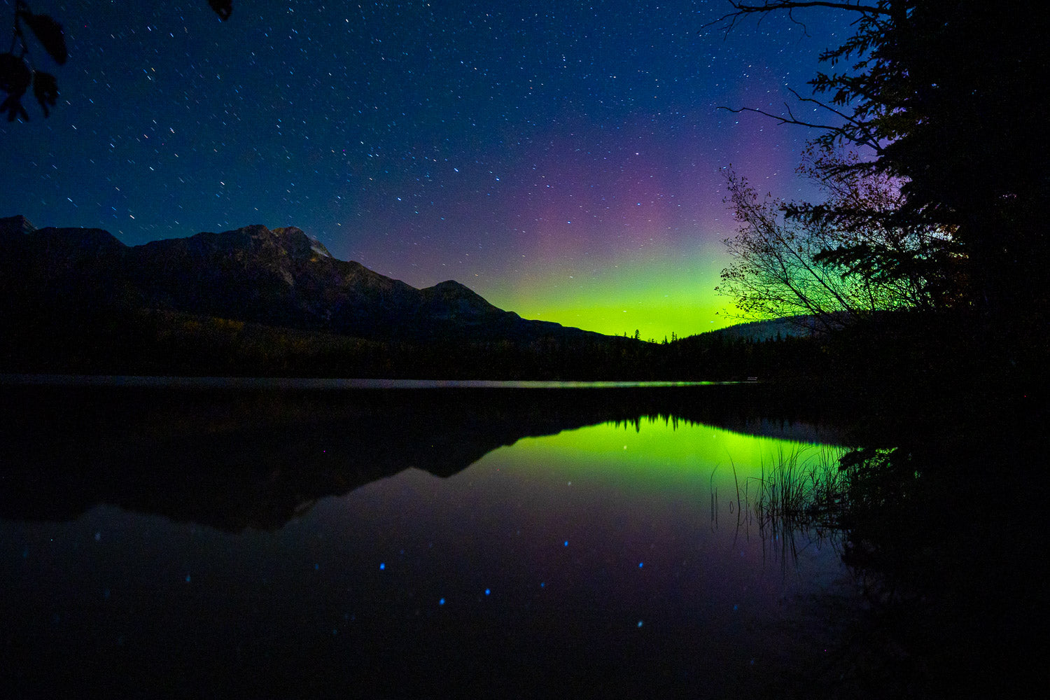 "Walk on Water - Patricia Lake, Jasper, Alberta, Canada