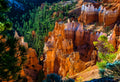 "Window" - Bryce Canyon, Utah