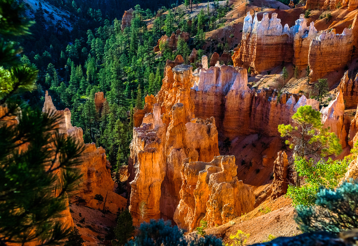"Window" - Bryce Canyon, Utah