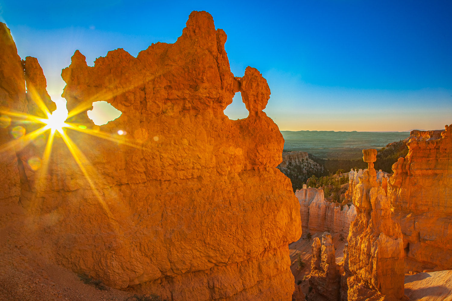 "Window Star" - Bryce Canyon, Utah