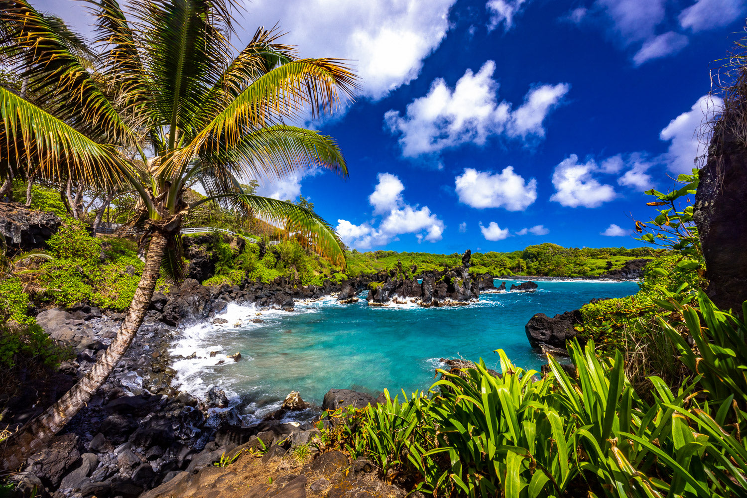 "Zen" - Waiʻānapanapa State Park, Maui